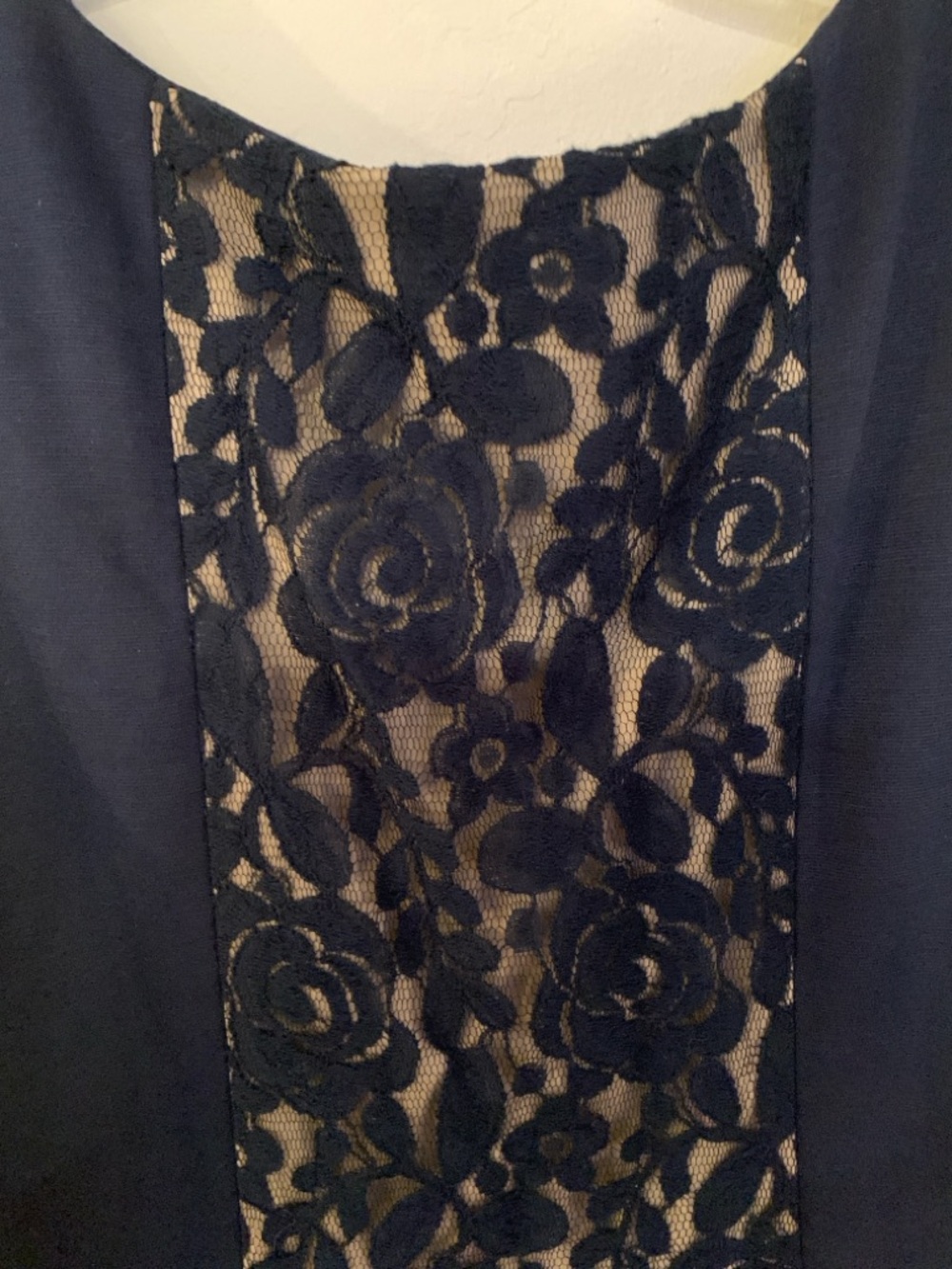 The Limited Navy Dress with Black Lace Panel Size 14 NWT retail 108.00 - Picture 5 of 6